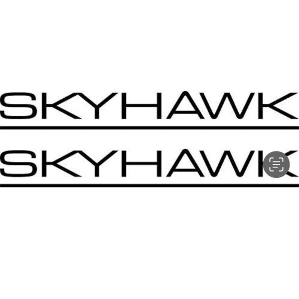 Unbranded – Cessna 172 Skyhawk Aircraft Decals – (Set Of