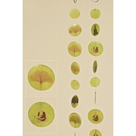Capiz Garland [Set of 2 Green Indian, Ginkgo Length 1.80 m