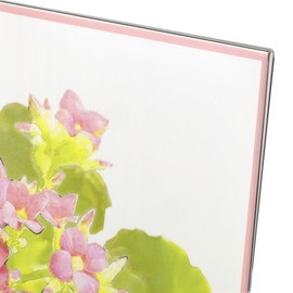 ハクバ HAKUBA フォトスタンド アクリルLフレーム 色紙サイズ FACL-SK クリア