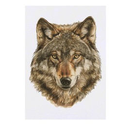 'Wolf Portrait' Temporary Tattoo - Water Resistant, Skin-Safe, Non-Toxic Transfer (TO00084773)