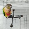 Niwugady Parrot Chew Toy Stainless Steel Hanging Perch Interactive Toy