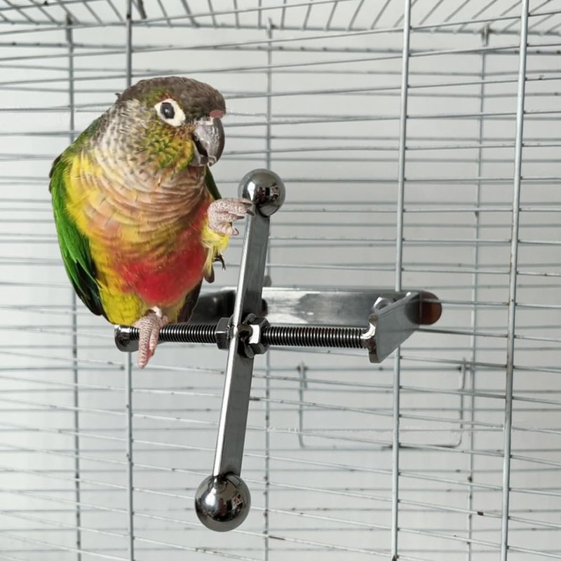 Niwugady Parrot Chew Toy Stainless Steel Hanging Perch Interactive Toy