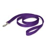 Premier Leash, 1 by 6-Feet, Deep Purple