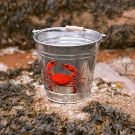 Yello Metal Crab Bucket, Beach Bucket Fishing Accessory, 6L, BU1308