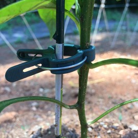 Plant Clips Plant Clips for Trellis Tomatoes, Roses, Cucumbers and Other Trellis Plants - Especially Easy Trellis for Plants (40 Large + 40 Small + 20 Binders)