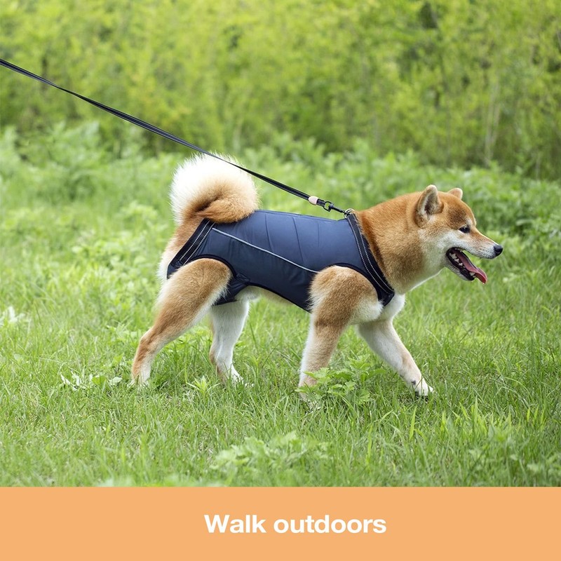 Dog Lift Harness for Senior & Injured Dogs – Full