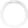 Feit Electric Fc16t10/Cw 40w 16 in. Circline, Cool White