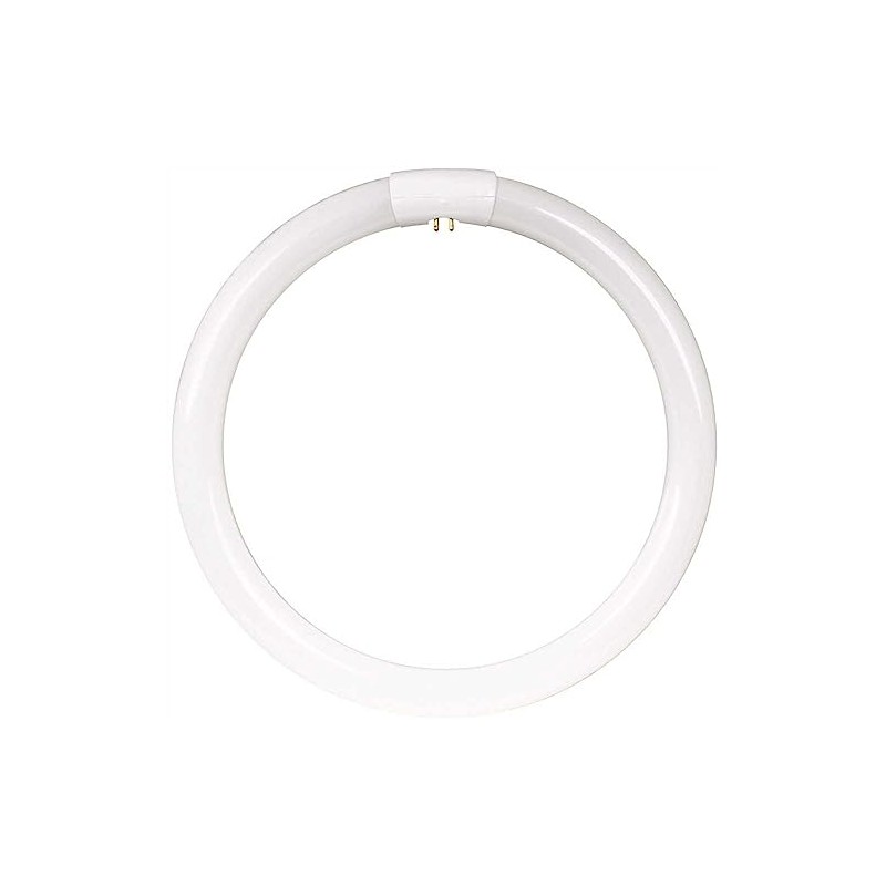 Feit Electric Fc16t10/Cw 40w 16 in. Circline, Cool White