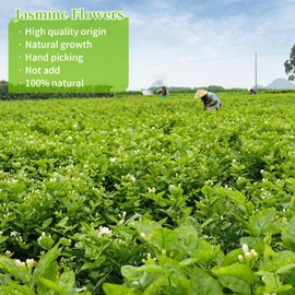 Bai Hua Tang Jasmine Tea Bags 50 Count Dried Jasmine Flowers, & Loose Leaf Sachets, Fragrant Floral Aroma, tea bags for cold/Hot brew Uncompressed Premium Tea 茉莉花茶