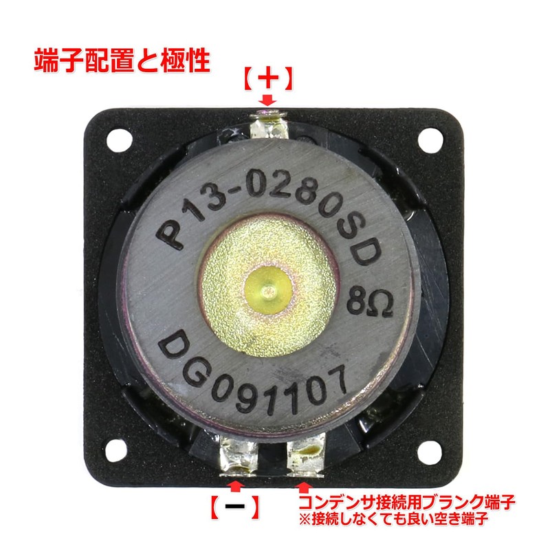 Integrated Faceplate with Protective Guard Tweeter Unit 1" (48mm) Double