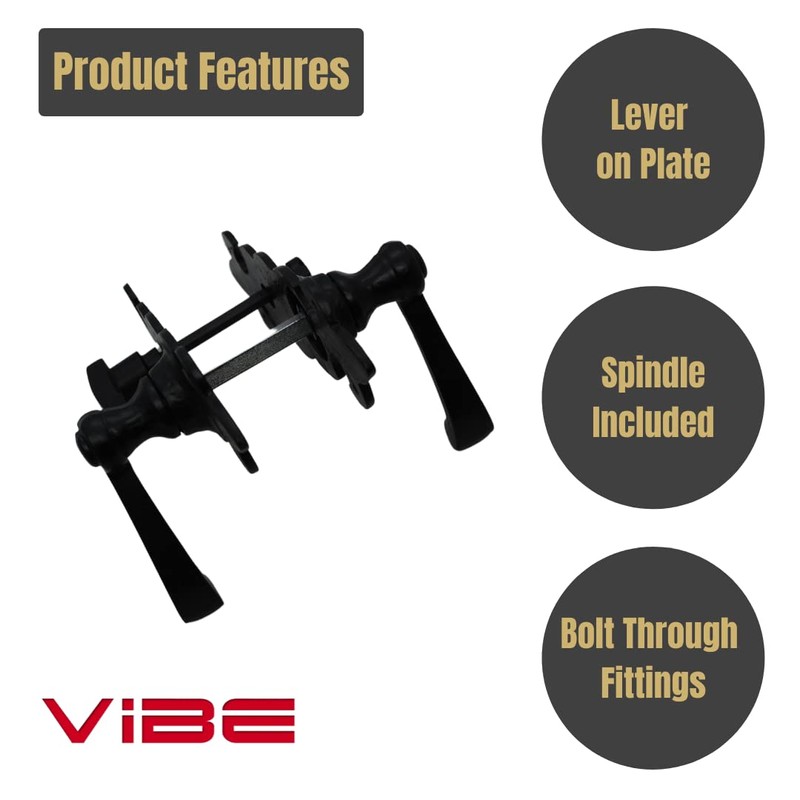 VIBE Fleur de LYS Lever Bathroom on Black Antique Door