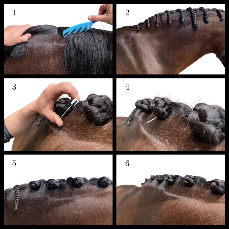 Quick Knot® Deluxe Mane Clip for Horses, Suitable for Horses