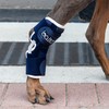 Balto Hock Brace – Dog Brace with Aluminum Splints –