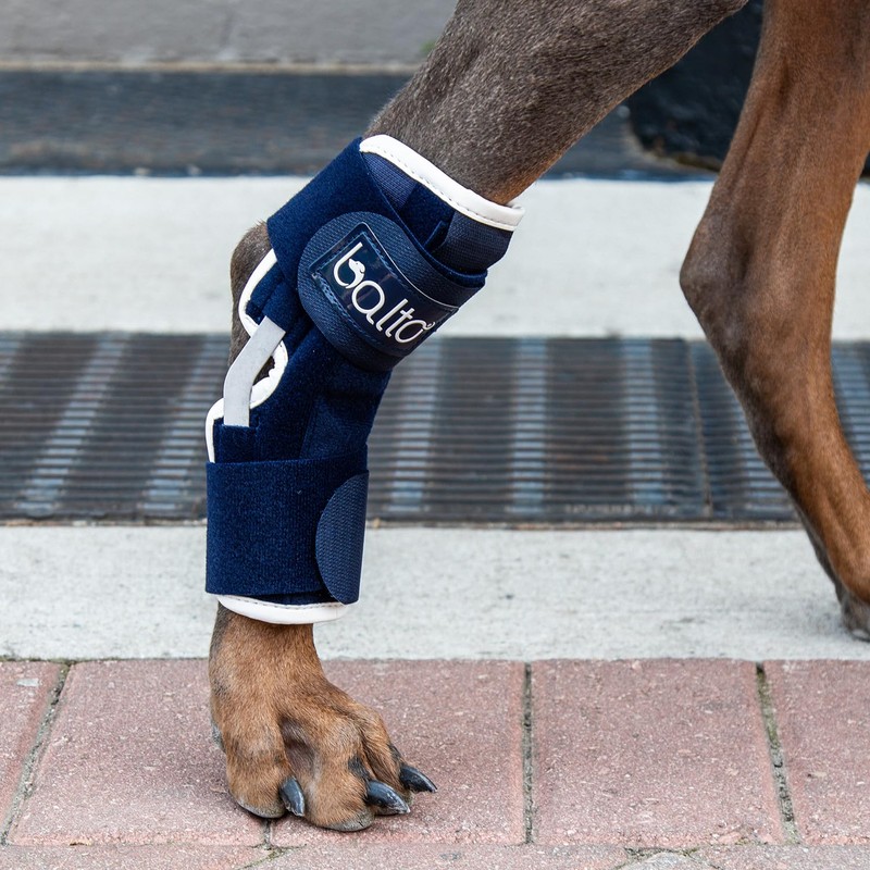 Balto Hock Brace – Dog Brace with Aluminum Splints –