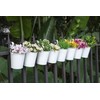 Dahey 10 Pcs Hanging Flower Pots Metal Iron Bucket Planter