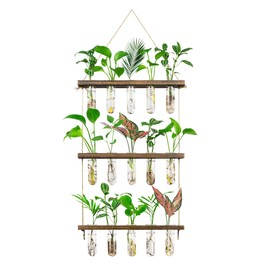 Monsiter QE 3 Tier Large Propagation Stations Wall Hanging Plant Terrarium with Wooden Stand, Retro Propagation Test Tube for Hydroponic Plants Cutting Flower, Propagator Home Office Patio Decor Gifts