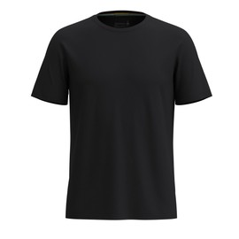 Smartwool Men's Standard Active Short Sleeve, Black