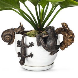 Weysat 4 Pcs Vintage Resin Frog Tortoise Snail Gecko Planter Pot Hugger Figurine Flower Pot Animal Climbing Statue Vase Miniature Fairy Garden Terrarium Decor Patio Lawn Yard Outdoor Fence Hanger