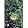 Evergreen Garden Cute Portly Frog Outdoor Statue and Secret Key