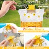 6 Pack Outdoor Fly Traps with Bait for Chicken Coops