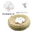 10 Pcs Fake Eggs, Bird Toys, Small Birds, Solid Fake