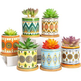 COLOAPT Succulent Plant Pots - 3.1 inch Ceramic Succulent Planter -Cylinder Flower Pots for Cactus with Drainage Hole and Bamboo Tray, 6 Pack (Multicolor1)