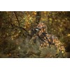 ScentLok Camo Hunting Pants for Men - Savanna Aero Crosshair