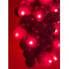 Kurt Adler 100-LIGHT SET GRAPE CLUSTER Red BURGUNDY GRAPE Indoor/Outdoor