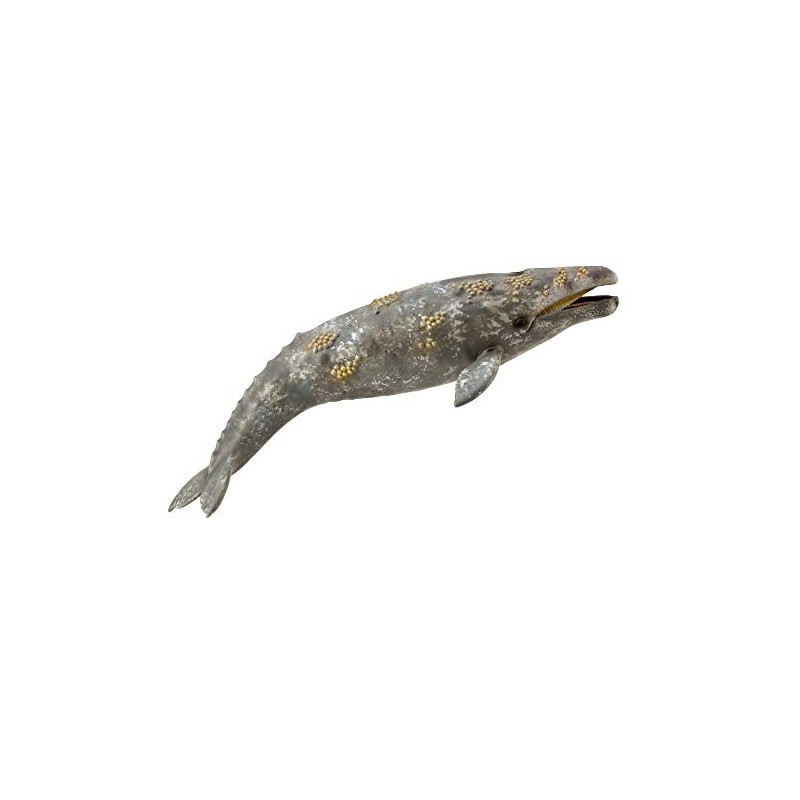 CollectA Gray Whale