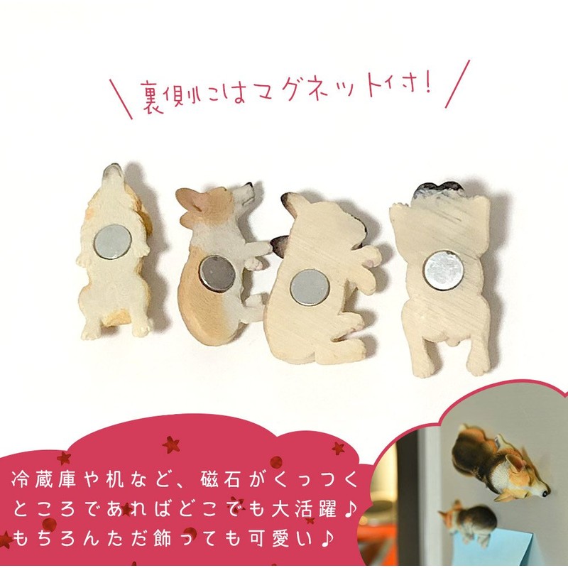 moin moin Figure Magnet, Dog, Dog, Fluffy, Bed, Realistic, Realistic