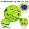 TAUCHGOE Interactive Dog Toy Ball