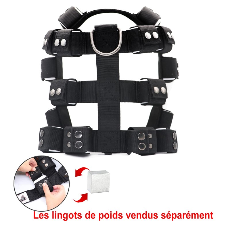 Black Dog Harness