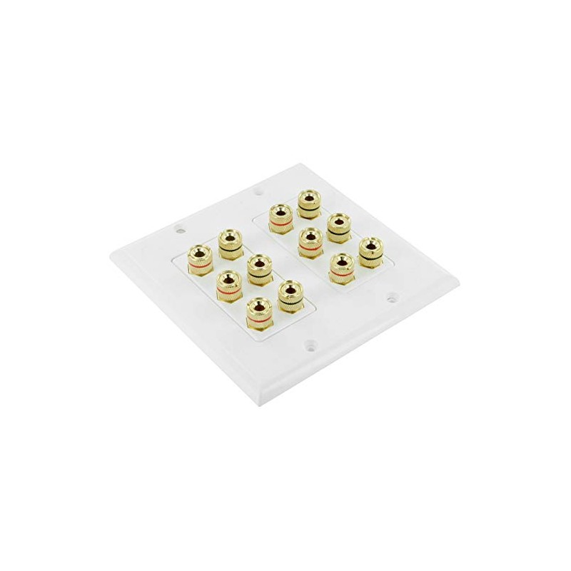 6 Speaker Cable Wall Plate Double Gang for 6 Surround