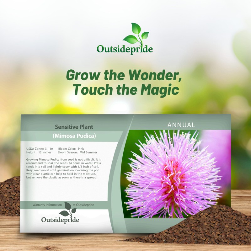 Outsidepride Mimosa Pudica Seeds - 1000 Pcs Annual, Easy to