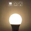 TZHILAN E26 12V Low Voltage LED Light Bulbs 5W A19