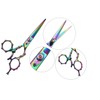 Supreme 5.5" Rainbow Titanium Swivel Thumb Hairdressing & Thinning Scissors