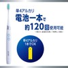 Systema LION Electric Assist Brush Main Unit 1 Piece
