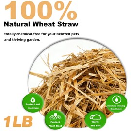 Natural Wheat Straw - Dry Clean Soft Bale for Stray Cats & Dogs Shelter, Chicken Coop Bedding, Garden Mulch & Weed Cover (1LB)