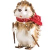 Craycombe Trinkets 6062 Hedgehog Trinket Box,Height 7cm