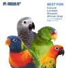 Pervue Pet Products Naturals Physical & Mental Brownie Snack Bird