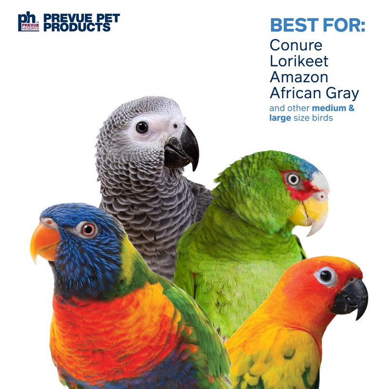 Pervue Pet Products Naturals Physical & Mental Brownie Snack Bird