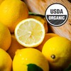 Galvanina Lemon – Organic Italian Sparkling Soda, 12 fl oz