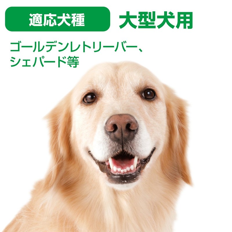 Toy toothpaste rope L of Petio dog