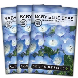 Sow Right Seeds - Baby Blue Eyes Flower Seeds for Planting - Annual Plant with Sweet Essence - Non-GMO Heirloom Packet with Instructions to Plant a Home Garden - Native California Wildflower (3)