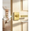 2 Pack Gold Door Handle, Knurled Passage Door Handles for