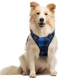 rabbitgoo Dog Harness No Pull with 2 Leash Clips, Adjustable Soft Padded, Reflective Oxford No Choke Pet Vest with Easy Control Handle for Medium Sized Dogs, Blue Plaid, M