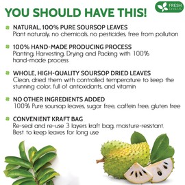FreshDrinkUS, 330-350 Premium Soursop Dried Leaves Tea, 115 Cups, Hojas De Guanabana Whole Leaves, Wildcrafted, Graviola, Soursop, Guanabana Tea, Loose Leaf Herbal Tea, Gluten/Sugar/Caffeine Free
