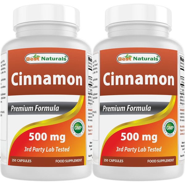 Best Naturals Cinnamon 500 mg 250 Capsules (250 Count (Pack of 2))