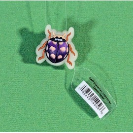 Crocs New Original Jibbitz Crocs Charm: Crawly Insect 1 Piece