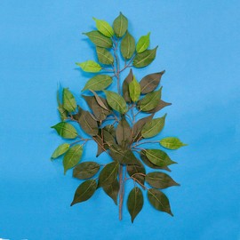Replacement Leaves Set of 8 for Interchangeable Cat Tree (Set of 8 Leaves, Zen Green)